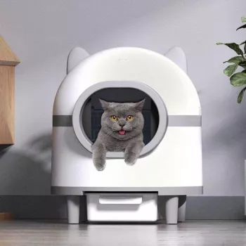 Smart Self-Cleaning Litter Box with App: Buyer Guide